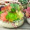 22PCS Colorful Artificial Succulent Plants for Small Potted Plants, Mini Fake Succulents for DIY Crafts, Home Garden, Office, Party & Table Decorations (No Pots)